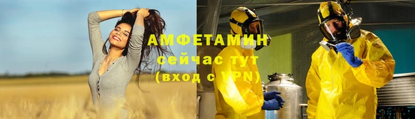 молекула духа Алексеевка